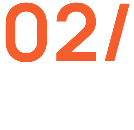 E-commerce Platforms